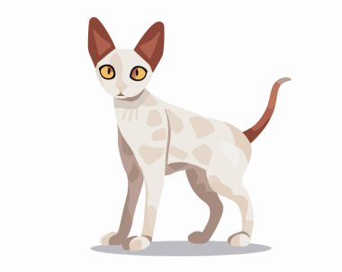 Şirin kedi maskotu vektör çizimi