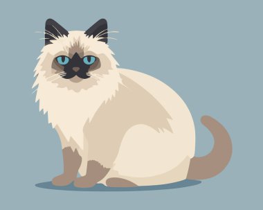 Beyaz arka plan vektör illüstrasyonunda oturan sevimli kedi 