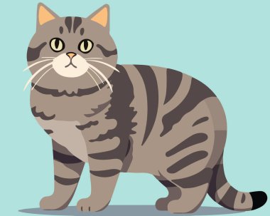 Şirin kedi maskotu vektör çizimi