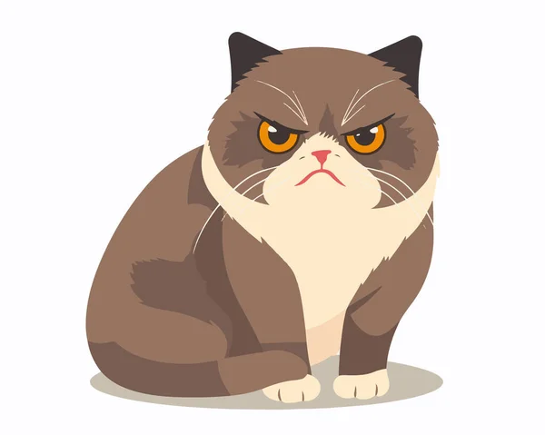 Wütende Katze Cartoon Illustration — Stockvektor