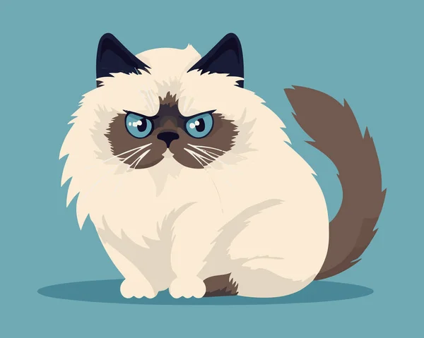 Komik kızgın kedi. Düz biçimdeki vektör illüstrasyonu 