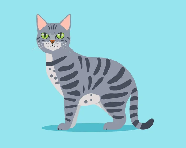 Vector Illustration Cat Blue Background — Stock Vector