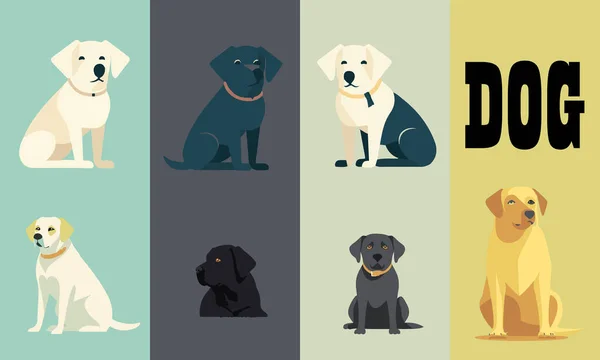 カラースタイルの犬のセットベクトルイラストデザイン — ストックベクタ
