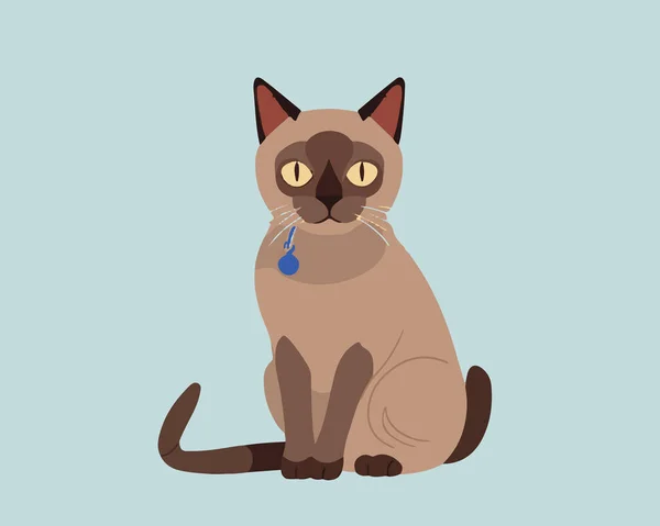 Cat Pet Animal Cartoon — Stock Vector