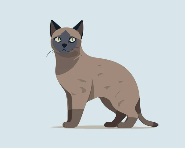 Cute Cat Cartoon Character — Stock Vector