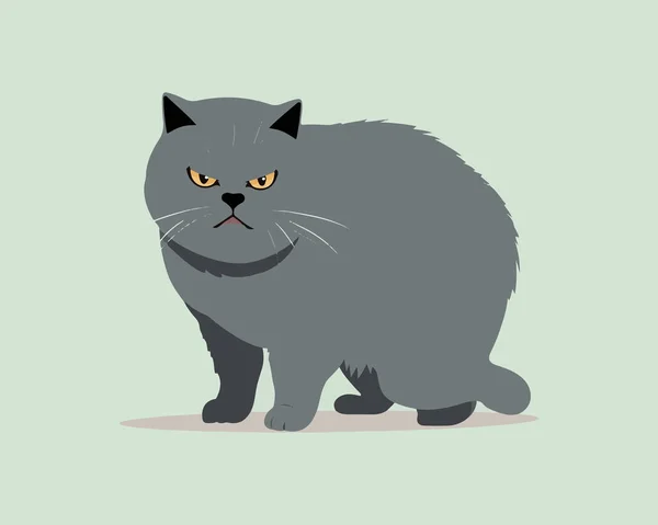 目が大きい可愛い猫 ベクトルイラスト 漫画風 — ストックベクタ
