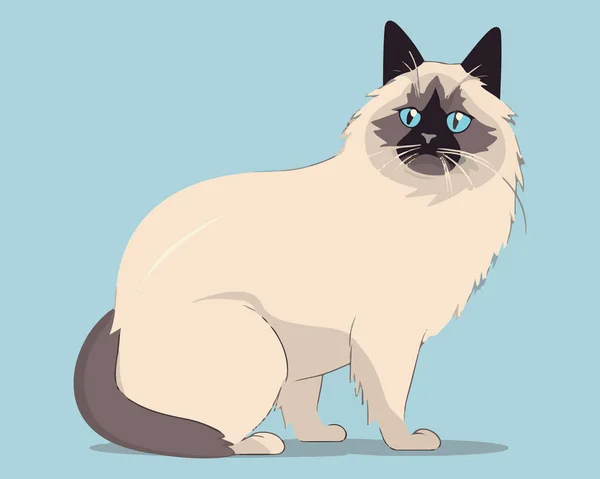 Cat Cartoon Design Animal Pet Cute Nature Fauna Fauna Theme — Stock Vector