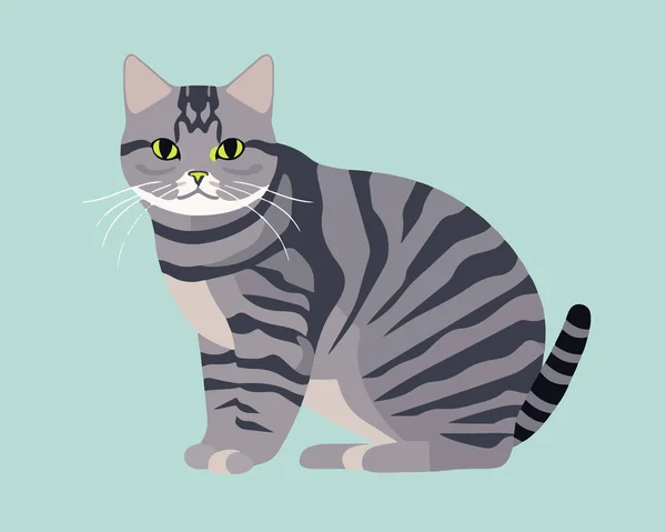 Cute Cat Blue Eyes Vector Illustration Isolated White Background — Stock Vector