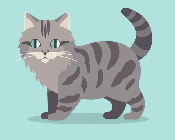 Carino Gatto Animale Domestico Cartone Animato Vettore Illustrazione Grafica — Vettoriale Stock