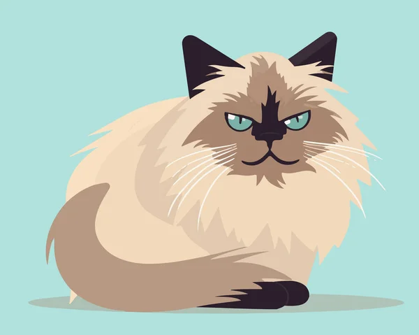 Funny Cat Vector Illustration — Stock Vector