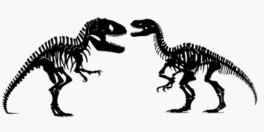 Siyah bir dinozorun silueti. vektör illüstrasyonu.