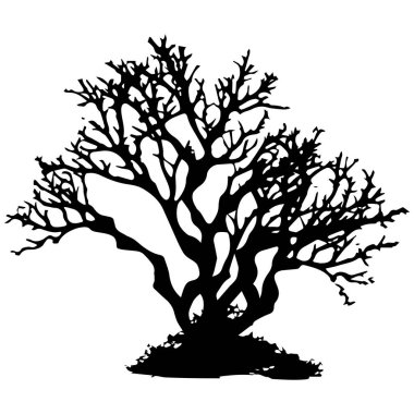 beyaz zemin üzerinde ağaç siluet
