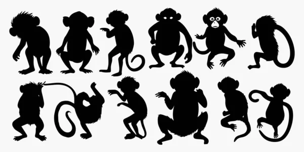 Set Silhouette Monkey Vector Illustration — Stock Vector