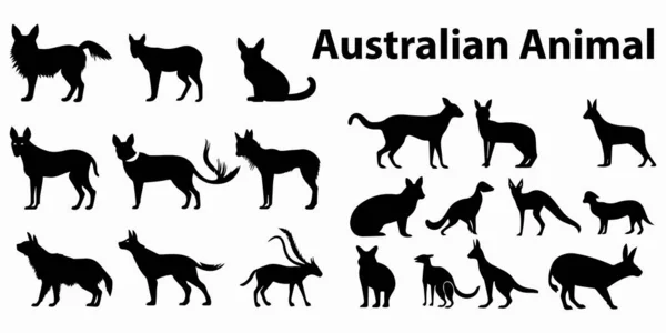 Australia Animales Siluetas Conjunto — Vector de stock