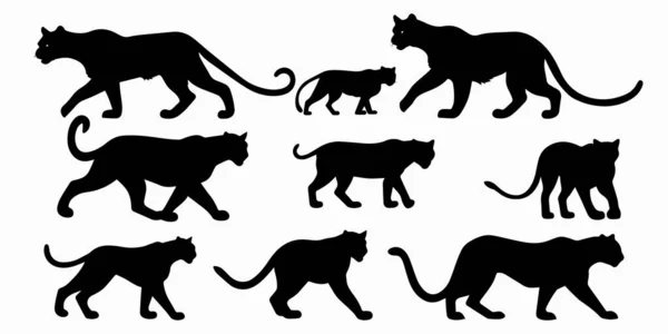 Kedi vektör silueti. Beyaz arka planda kedi seti.
