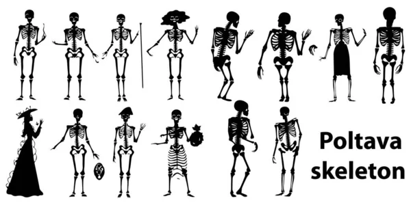 Esqueleto Humano Esqueleto Humano Esqueleto Ossos Ossos Esqueleto Ossos Ilustração —  Vetores de Stock