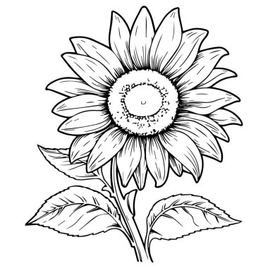 Çizgi Sanat Orkidesi Çiçek vektör çizimi