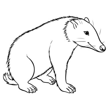 sevimli ayı karikatür vektör çizim