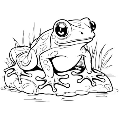 Beyaz arkaplanı olan kurbağa