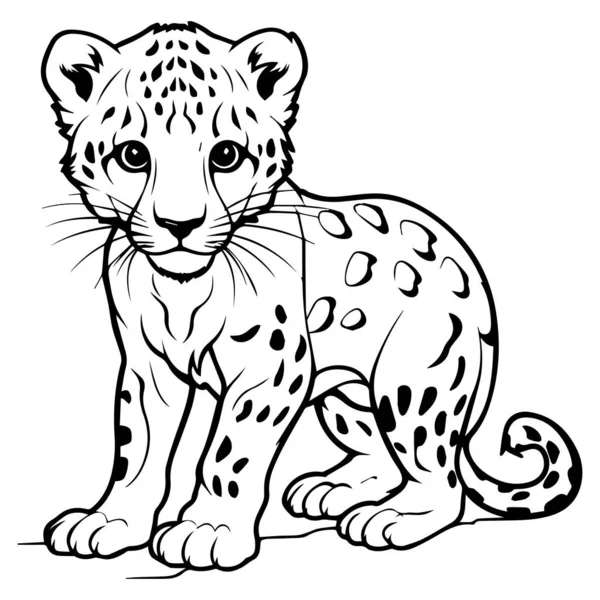 Ilustración Blanco Negro Dibujos Animados Leopardo Ilustraciones de stock libres de derechos