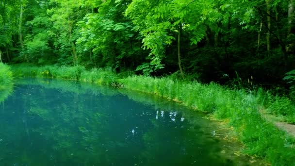 Emerald Oasis Serenity Forest Lake Inglés Video Alta Calidad Experimenta — Vídeos de Stock