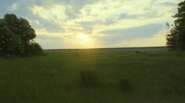 Gün batımında bu çarpıcı 4K videosuyla yalnızlığın nefes kesici güzelliğine tanık olun. Güneşin ufkun altına batışını izleyin, arazide altın bir parıltı yayıyor. Huzurlu arka planda, yalnız ve görkemli bir mürver çalısı dimdik ayakta duruyor.
