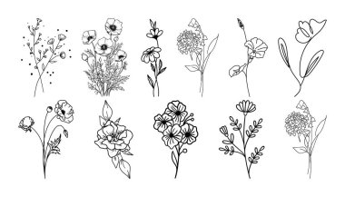 El çizimi botanik çiçek çizgisi sanat vektörü. Yaprakların toplanması, yaprak dalları, çiçekler, güller ve çizgi sanatı.