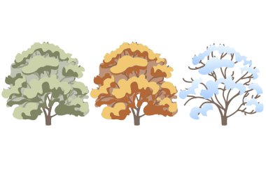 Üç mevsimde bir sürü ağaç. Ön manzara. Dallar ve yapraklar. Poster, çizimler, mimarlar ve peyzaj tasarımcıları için kolajlar. Çizgi film düz çizimi beyaz arkaplanda izole edildi