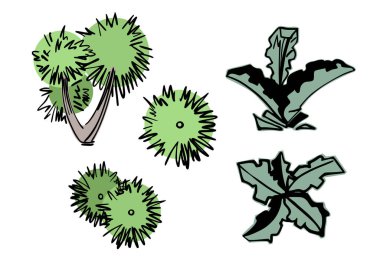 Dikenli çalılar, cephe manzarası, plan manzarası. Beyaz arka planda el çizimi illüstrasyon. Poster ya da doğanın çizimleri için tasarım öğeleri. Kolajlar, mimarlar ve peyzaj tasarımcıları için çizimler.