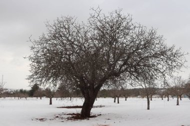 Farklı şehirlerden farklı sokak fotoğrafları.