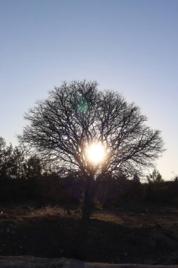 Farklı şehirlerden farklı sokak fotoğrafları.