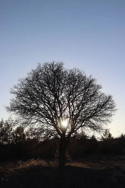 Farklı şehirlerden farklı sokak fotoğrafları.