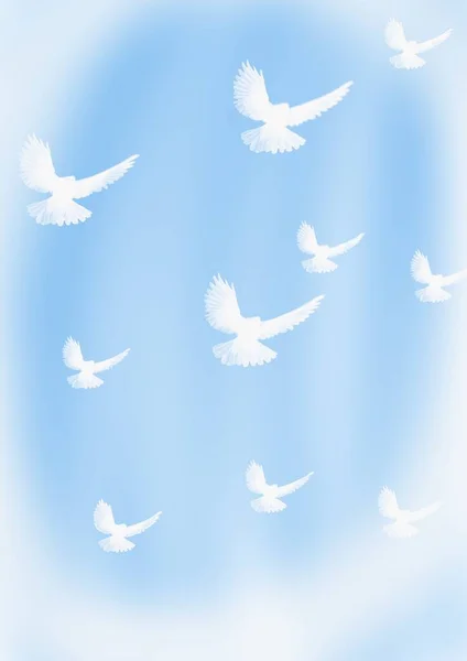 Latające Białe Gołębie Niebie Blu — Zdjęcie stockowe