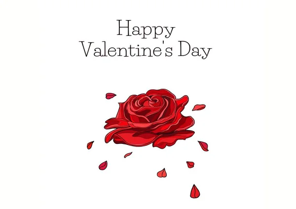 Велика Червона Троянда Білому Тлі Дня Святого Валентина — стокове фото
