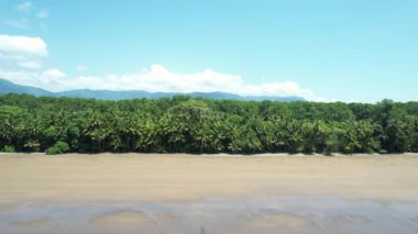 Tropical Palm Tree Beach in Costa Rica (Uvita Beach) - Filmed with a Drone. Different shots available in my profile.