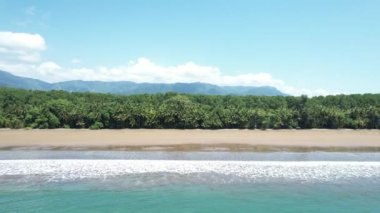 Tropical Palm Tree Beach in Costa Rica (Uvita Beach) - Filmed with a Drone. Different shots available in my profile.