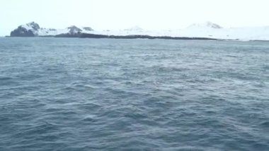 Kambur Balinalar Vestmannaeyjar, İzlanda 'da bir drone ile filme alındı. Profilimde farklı çekimler var.