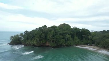 Kosta Rika 'daki Vahşi Tropikal Plaj (Playa Punta Uva, Puerto Viejo, Kosta Rika)