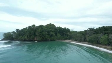 Kosta Rika 'daki Vahşi Tropikal Plaj (Playa Punta Uva, Puerto Viejo, Kosta Rika)