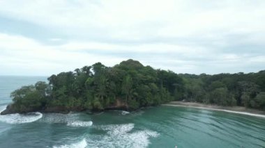 Kosta Rika 'daki Vahşi Tropikal Plaj (Playa Punta Uva, Puerto Viejo, Kosta Rika)
