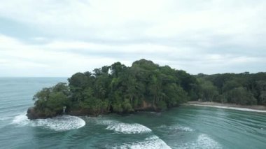 Kosta Rika 'daki Vahşi Tropikal Plaj (Playa Punta Uva, Puerto Viejo, Kosta Rika)