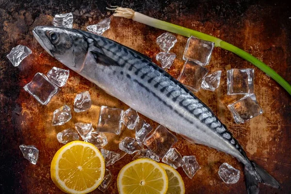 stock image Citrus Delight: Fresh Raw Mackerel Fish with Zesty Lemon in Exquisite 4K Close-Up