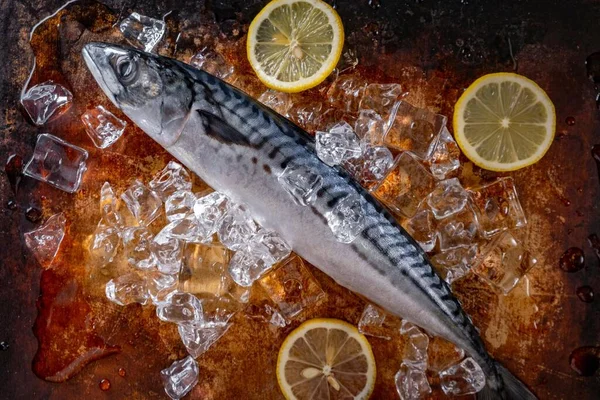 Citrus Delight Świeże Surowe Ryby Makreli Cytryną Zesty Wykwintnym Zbliżeniu — Zdjęcie stockowe