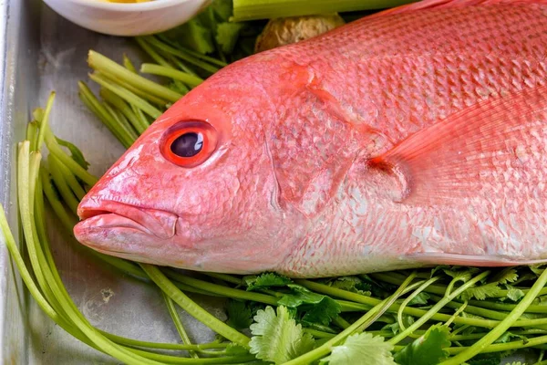 stock image Vibrant Close-Up: Fresh Raw Red Snapper Fish with Zesty Lemon Accent in 4K