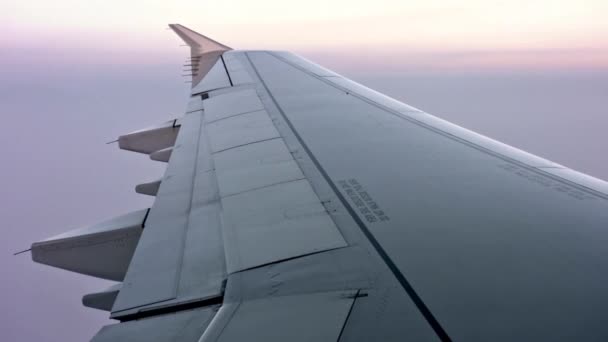 Captivating View Airplane Wing Window Dusk — Stock Video