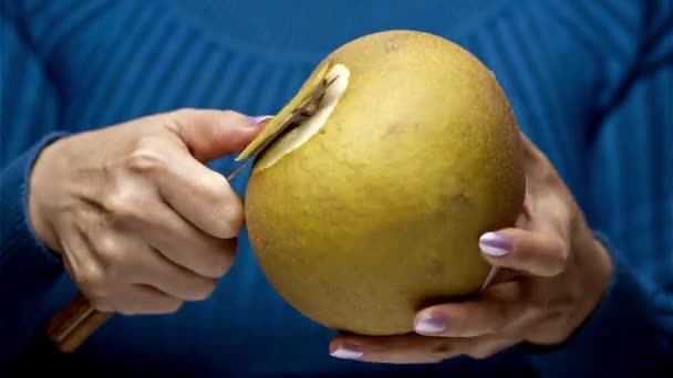 グルメの楽しみ方 新鮮な梨を味わう女の4K映像のメッセージ — ストック動画