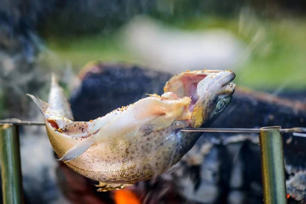 4K解像度のメッセージ化でキャプチャされた キャンプファイア上の魚料理の目まいがするようなクローズアップ — ストック写真