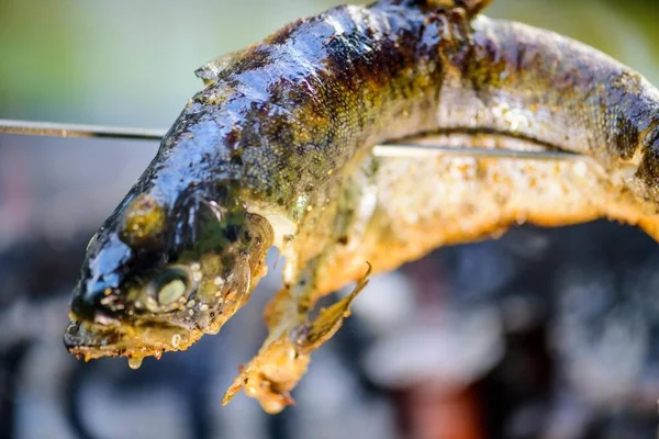 Primo Piano Frizzante Pesce Che Cucina Falò Catturato Ipnotizzante Risoluzione — Foto Stock