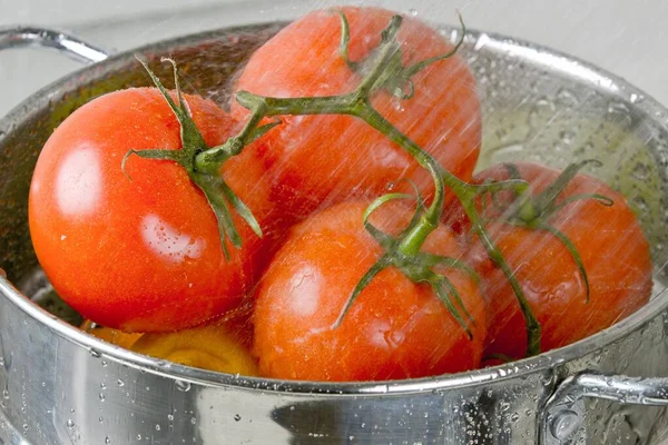 Faszinierende Großaufnahme Von Frischen Tomaten Kristallklarer Auflösung — Stockfoto