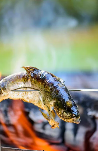 Близько Риби Приготування Їжі Над Багаттям Захоплений Резолюції — стокове фото